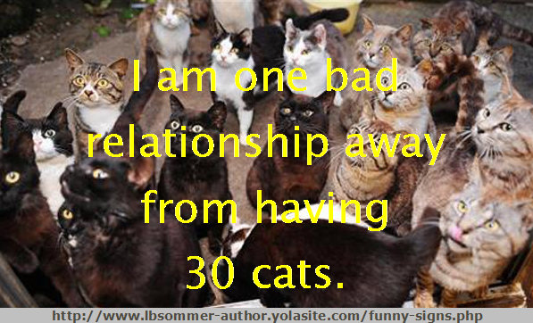 Funny pet sign - I am one bad relationship away from 30 cats.