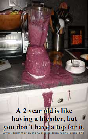 Funny photo - A two year old is like having a blender, but you don't have a top for it.