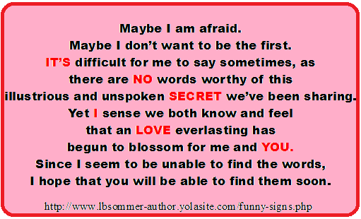 Funny quote and sign titled It's No Secret I Love You
