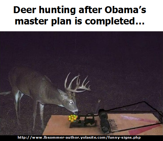 Funny but true sign about gun control = Deer hunting after Obama's master plan is completed. http://www.lbsommer-author.yolasite.com/gun-signs.php