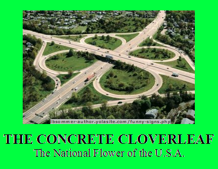 Funny photo titled The Concrete Cloverleaf - The National Flower of the U.S.A.
