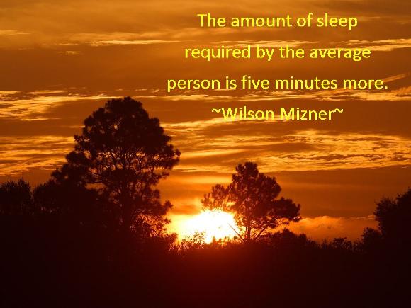 A funny Wilson Mizner quote - the amount of sleep required by the average person is five minutes more.